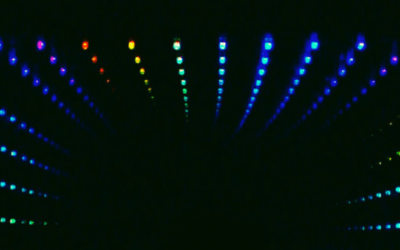 2B HUMAN EXHIBITION: SIMON KILMISTER