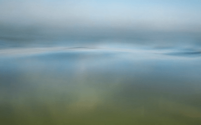 BEAF TAKEOVER ROYAL ARCADE : HOME